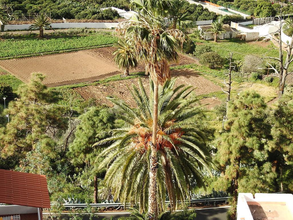 Holiday home Los Veroles Agaete (Gran Canaria)